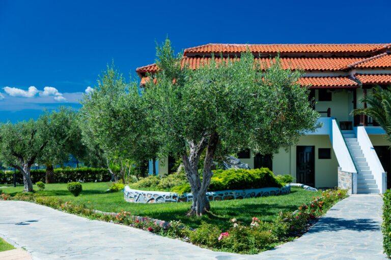 photo of the house