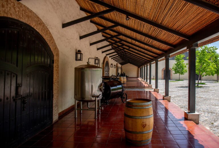 SANTIAGO, CHILE - NOV 29, 2018: Concha y Toro Mansion and Vineyard